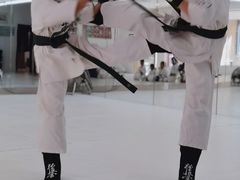 -极真空手道修远道场