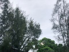 -鼓浪屿·皓月园