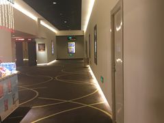-嘉华国际影城(学清路店)
