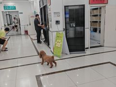 -派美特宠物医院·核磁CT·骨科肿瘤·疑难转诊(沈农禾丰店)