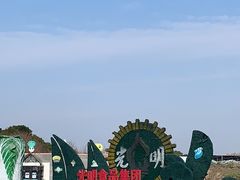 -上海都市菜园