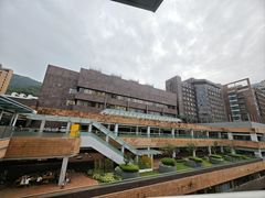 -香港大学