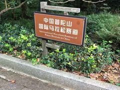 -普陀山风景区-佛顶山
