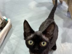 -海底捞火锅(龙湖北京大兴天街店)