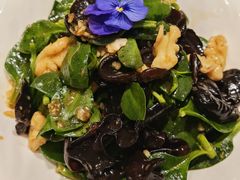 -海派美食·家宴海鲜青岛菜·石锅鲽鱼头(东方城店)