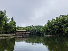 -蜀南竹海景区