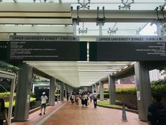 -香港大学