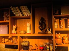 -梵猫·新养生(湛江鼎盛店)