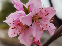 -同济大学(嘉定校区)