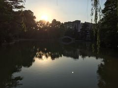 -西安市长乐公园