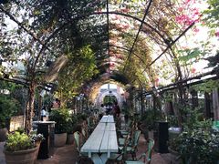 -The Grounds of Alexandria