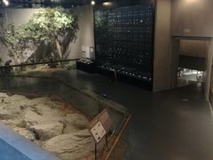 -北京周口店北京人遗址博物馆