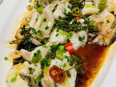鲜花椒蒸大龙趸鱼腩-金汇酒楼(中山东区店)