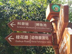 -广东茂名森林公园