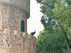 -J Create城市露营咖啡·简餐·宠物(上海动物园店)