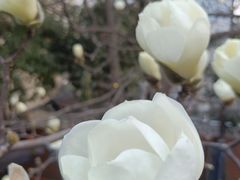 -秀·爱尔兰餐吧(上海路店)