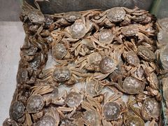 -蓉城四海黑牛烤肉海鲜自助餐厅(宜兴宝龙店)