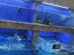 -香山湖渔家大院