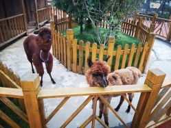 -三分地生态园·儿童乐园