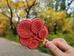 -香山公园