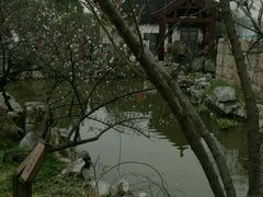 -香雪海