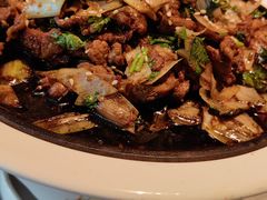 -秀儿四九城·新京菜(亚运村鸟巢店)