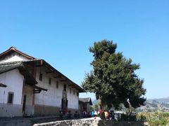 -福建土楼（华安）旅游区•大地土楼群