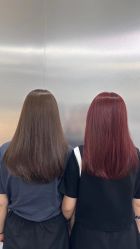 -Tloml salon