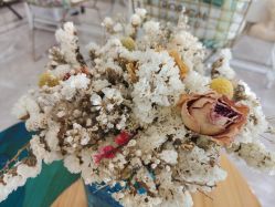 -星漾美学美容美体中心