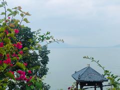 -南诏风情岛