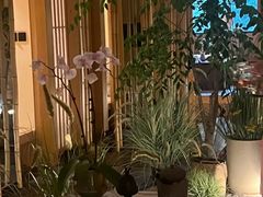 -梅间堂茶馆(绿地缤纷城店)