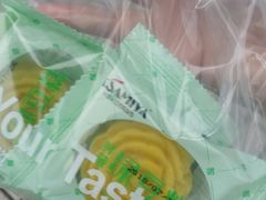 -卡萨米亚动物奶油生日蛋糕(牡丹城店)