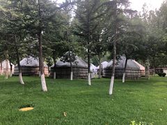 -九十九顶毡房(阜石路店)