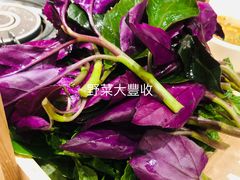 -古膳记猪肚鸡.生蚝鸡(拱北店)