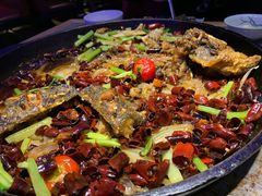 -老板恋上鱼(恒隆广场店)