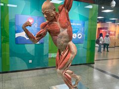 -国家自然博物馆