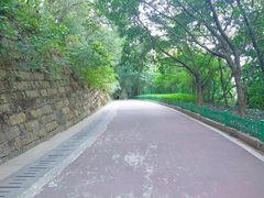 -金鸡山公园