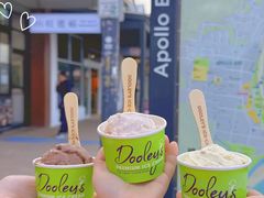 -Dooley's Premium Ice Cream