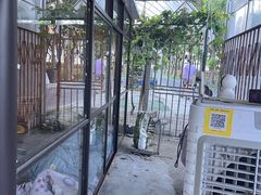 -马陆小张葡萄园农家乐