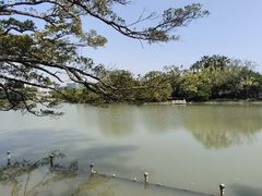 -江心屿景区