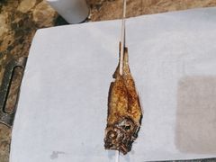 -郑喜旺烧烤(郑州总店)