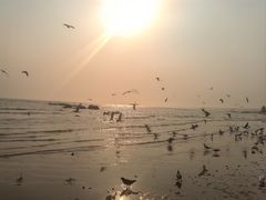 -老虎石海上公园