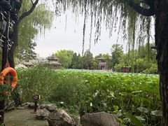 -莲池书院博物馆