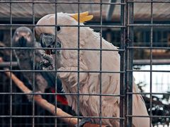 -鄂尔多斯野生动物园