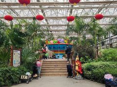 -南宫五洲植物乐园