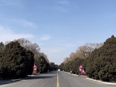 -北陵公园