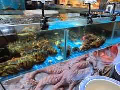 -大张烙馍村(泉山店)