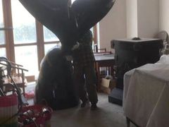-北京兄弟成功搬家整理收纳