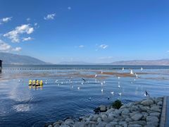 -大理洱海