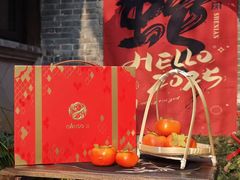 -GANSO元祖食品(锦创书城店)
